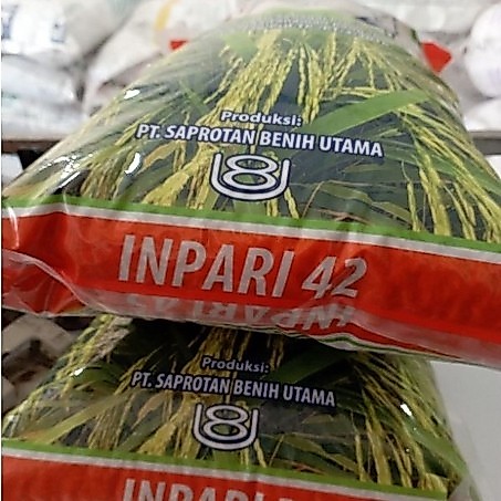 inpari 42 jumbo pak tani5kg exp 24052026