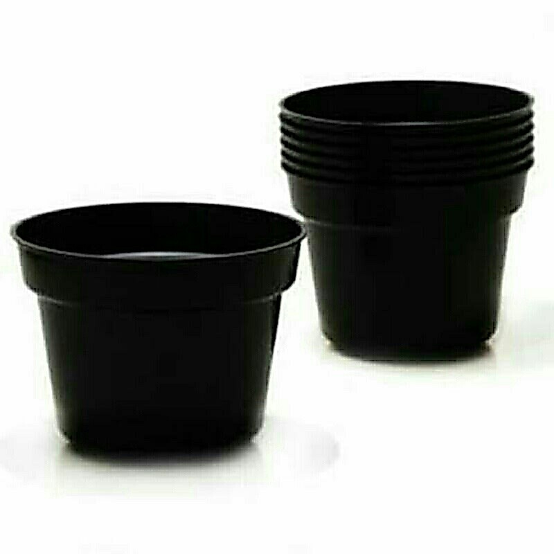 Pot hitam 15 tinggi