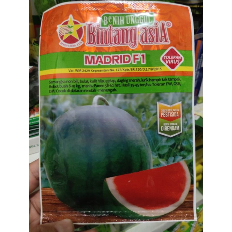 Benih Semangka Madrid F1 Non Biji 20 Gram