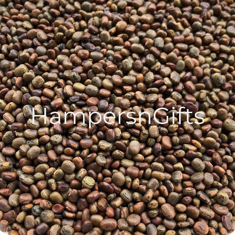 Benih CP Centrosema Pubescens Bibit Tanaman / Biji Kacang Kacangan Kebun Fashionwear