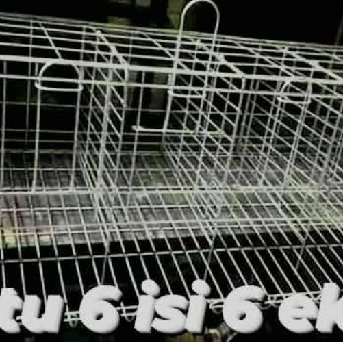Kandang ayam petelur Pintu 6 Isi 6 kawat anti karat
