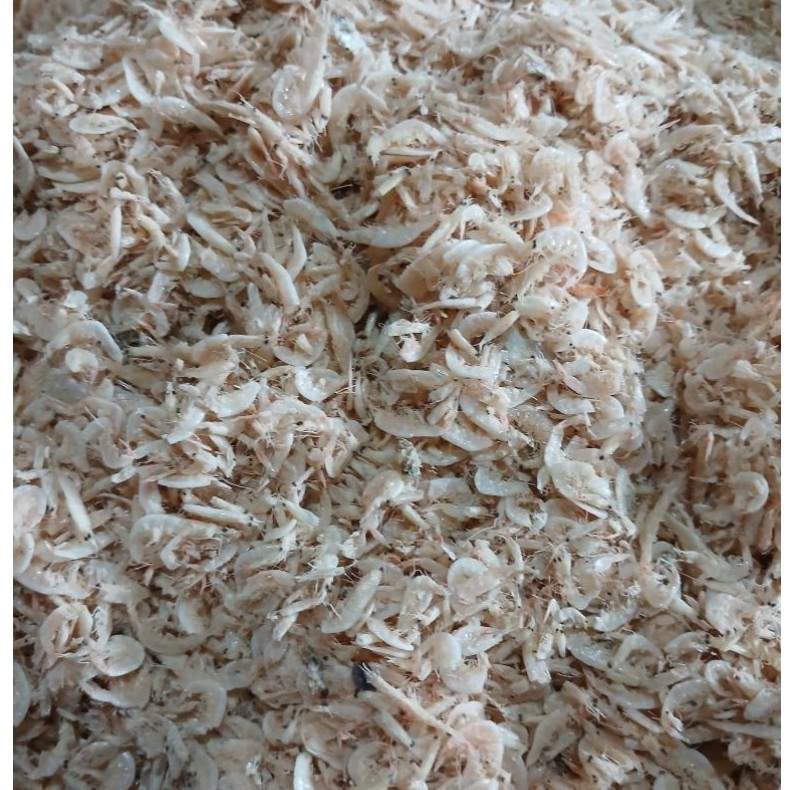 Ikan teri larong 250 gr Udang Rebon Kering Asin