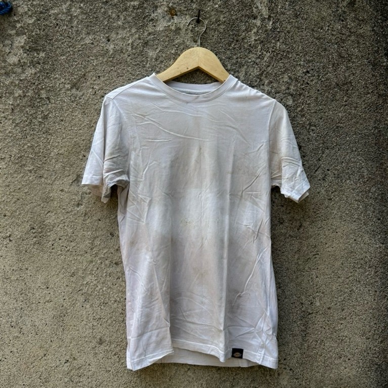 Kaos Dickies Second