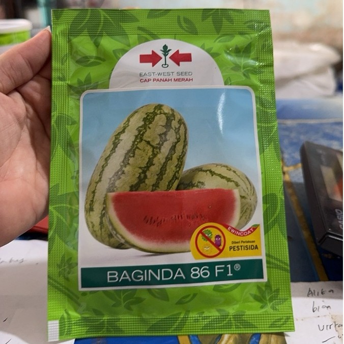 baginda 86 f1 380 butir