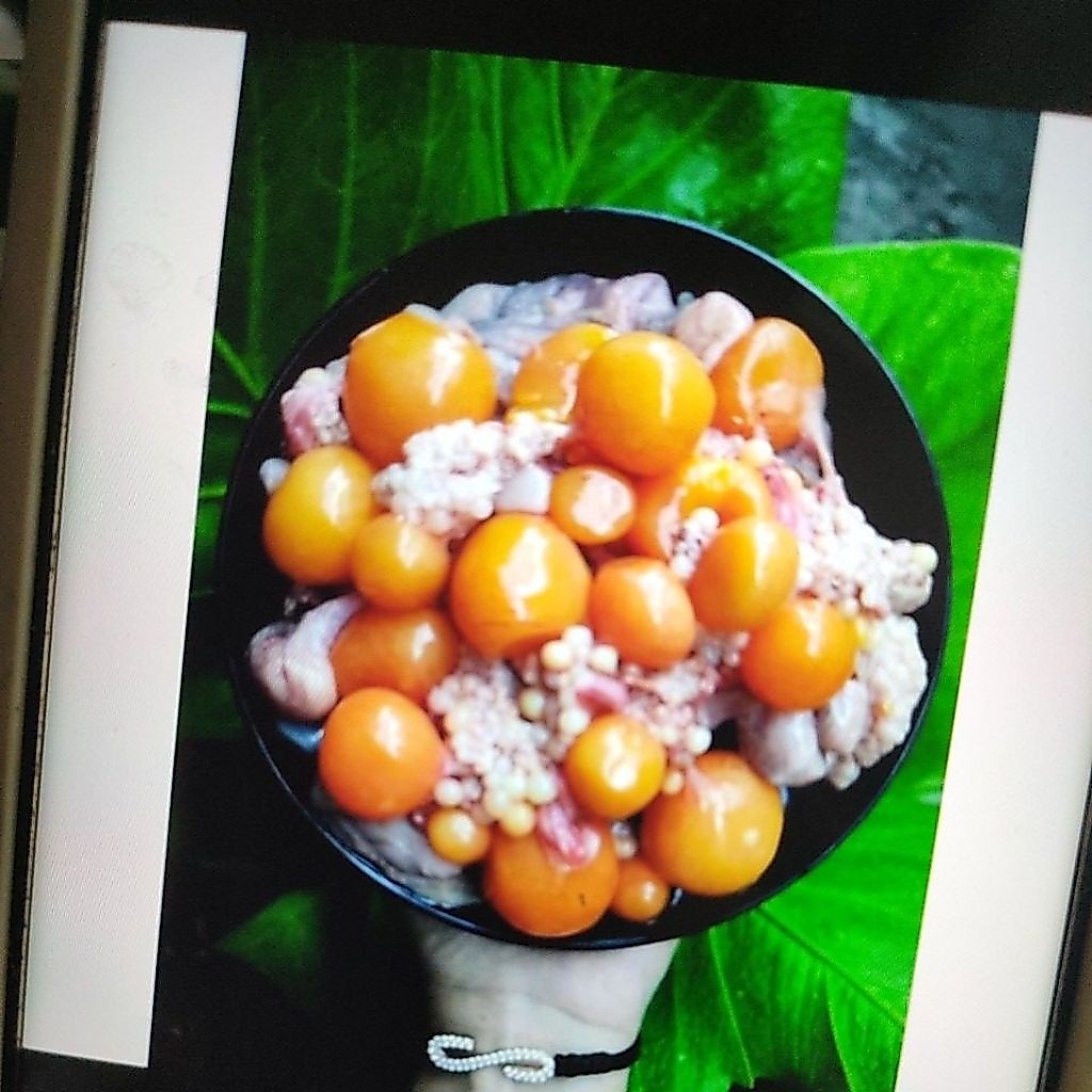 Uritan Ayam 250gr Telur Ayam Muda