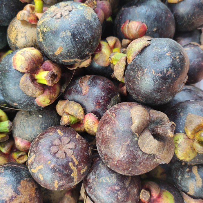 buah manggis 1 kg