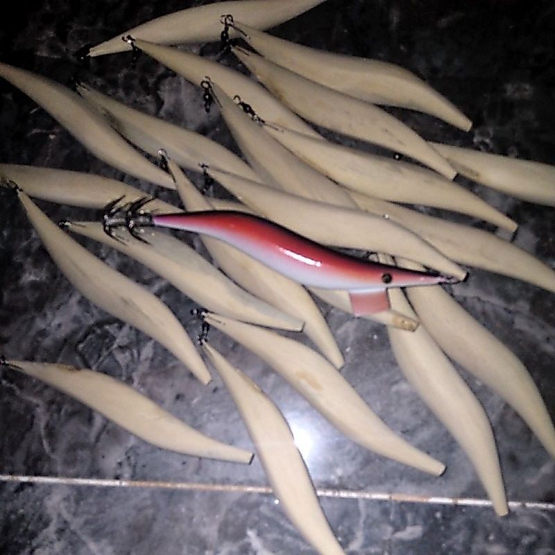 egi pijay kayu
