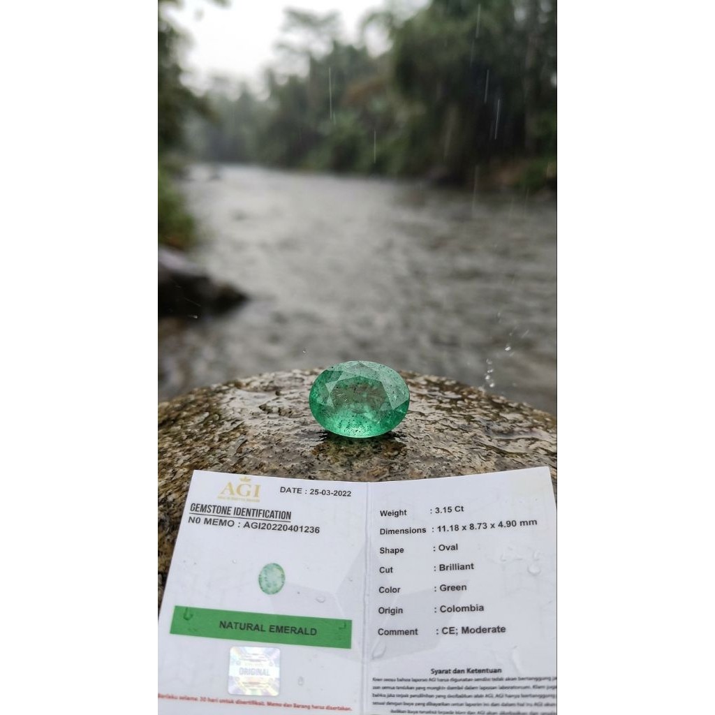 Natural Zamrud Colombia Plus Memo