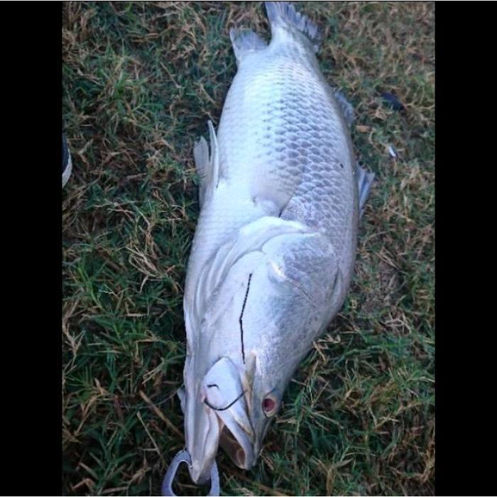 Arsya Gallery Fishing Mata Kail Sircle Hook Baja Kuat Anti Melar Isi 7 Pcs Desain Lingkaran Offset u