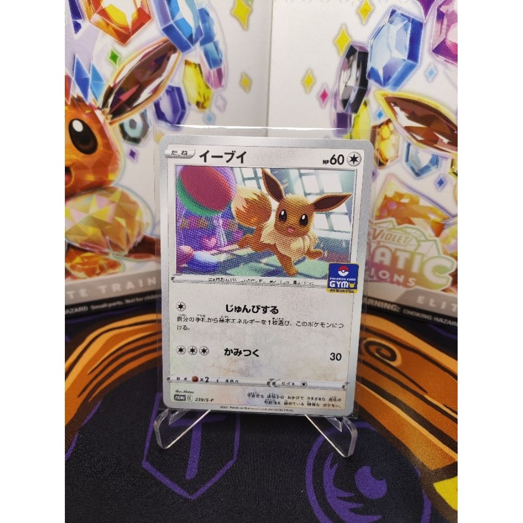 KAYDEN STORE Eevee 239/S-P GYM PROMO - Pokemon Card Japanese