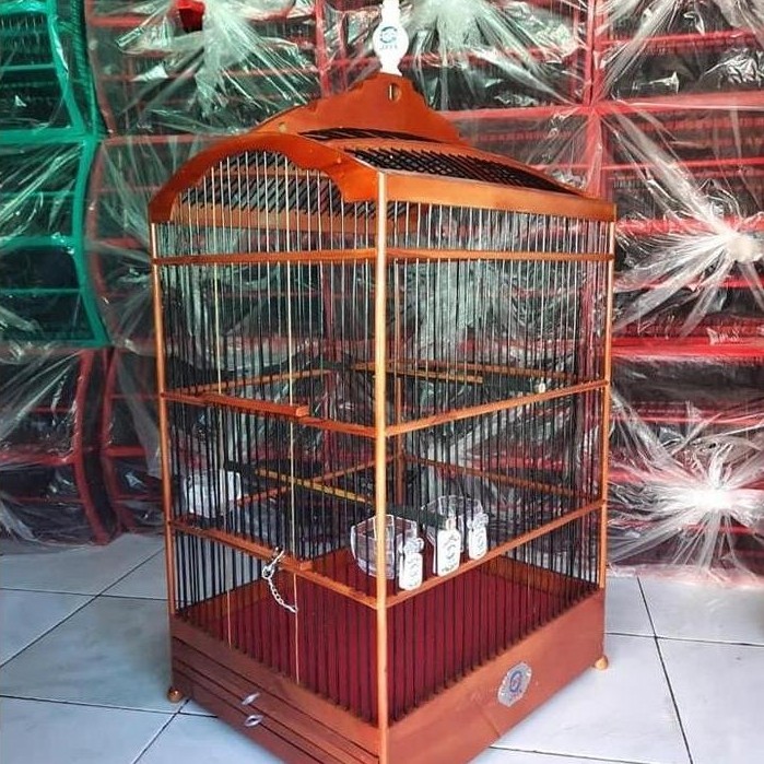 Sangkar ebod kotak coklat no 1 original