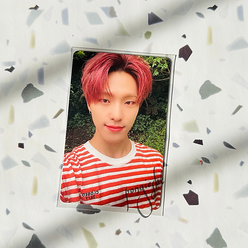 Photocard Official Seventeen Dino Dicon 101