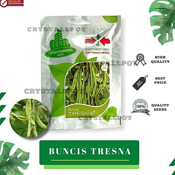 Okebro- Noni- Benih Bibit Buncis Tresna Cap Panah Merah - Buncis Tresna East West Seed