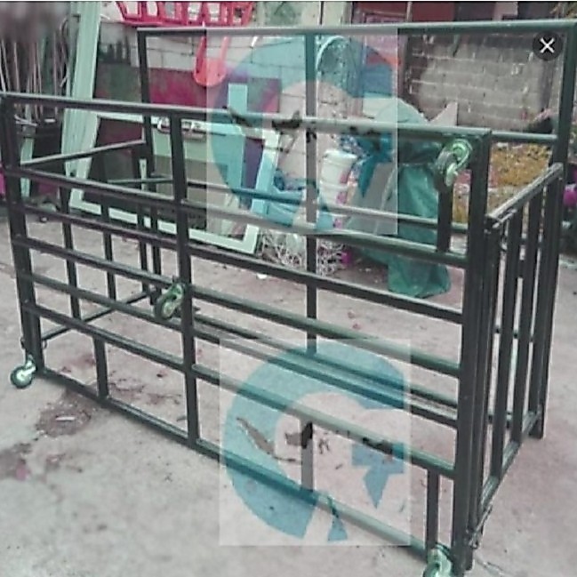 KANDANG SAPI KURBAN DENGAN ALAT PEREBAH