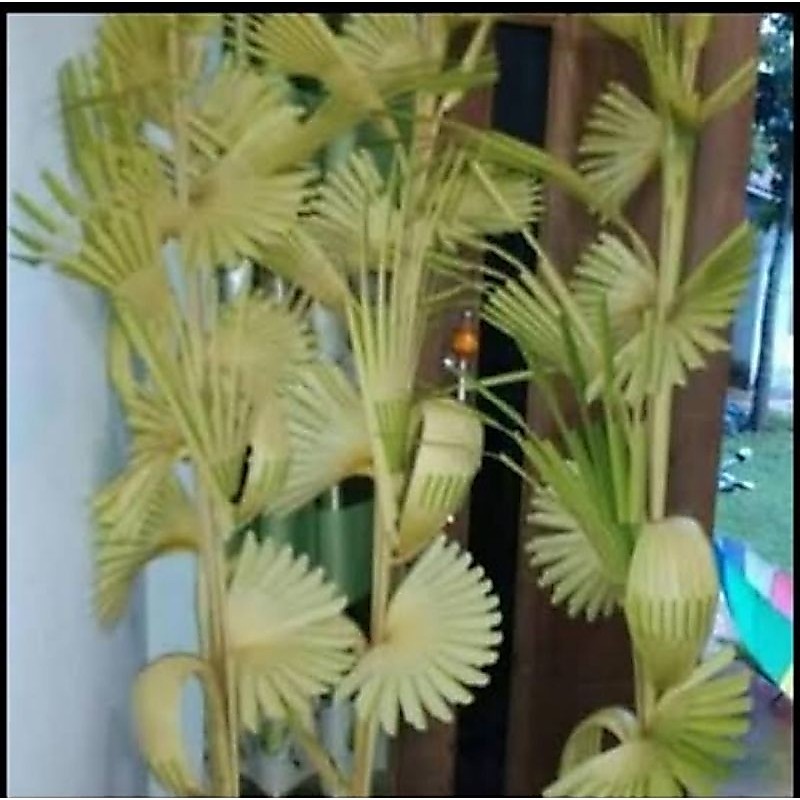 Janur Tanda | Janur Pernikahan | Hajatan | Khitanan