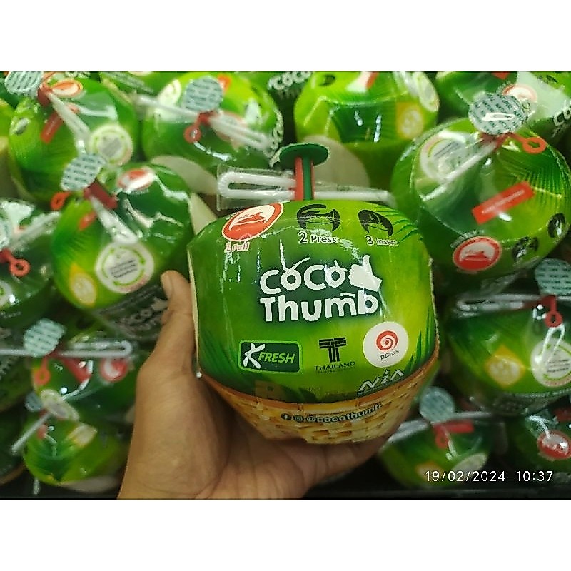 kelapa muda Coco thumb import 1 buah / kelapa muda import Thailand 1 buah premium