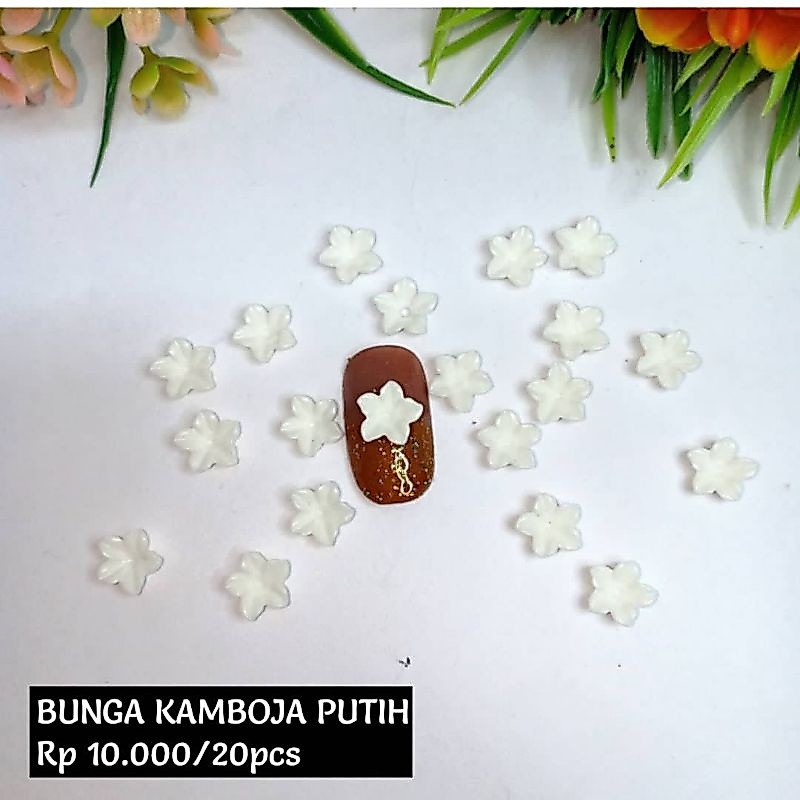 Bunga Kamboja Putih