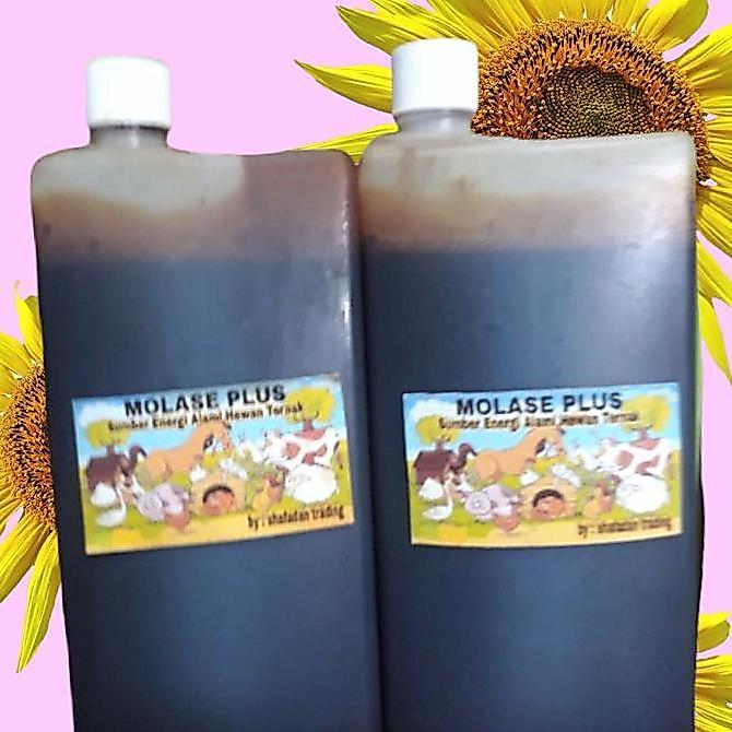 Molase Murni Kental Untuk Domba Kambing 1,4 kg