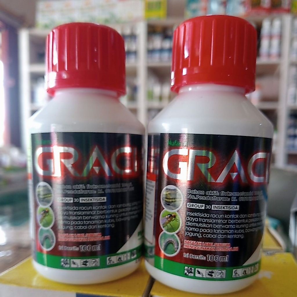 GRACIA 100 ml 103 EC