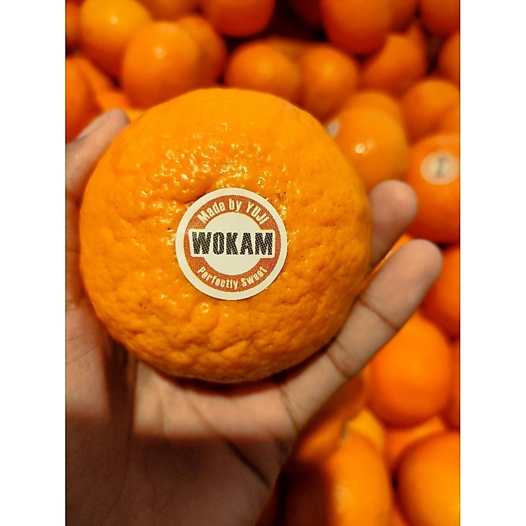 Jeruk Wokam Premium (Made by YUJI) 1kg