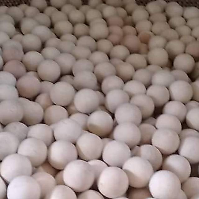 Bola Kayu Diameter 2cm, 3cm dan 4cm
