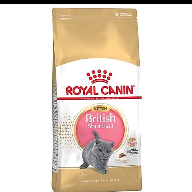 Royal Canin Kitten British Shorthair 400GR / rc canin kitten british shorthair 400g