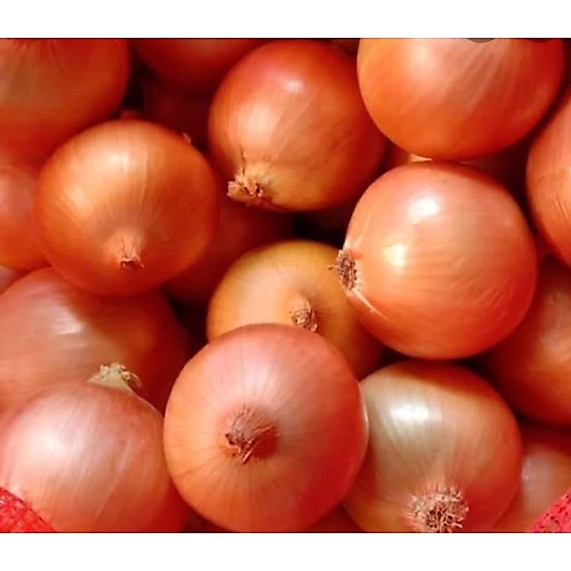 BAWANG BOMBAY/500g/BAWANG BOMBAY SUPER/BAWANG BOMBAY MURAH