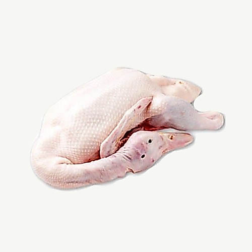 bebek potong / bebek utuh fresh