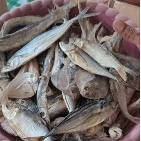 ikan asin campur,ikan asin pedo campur,iwak pedo