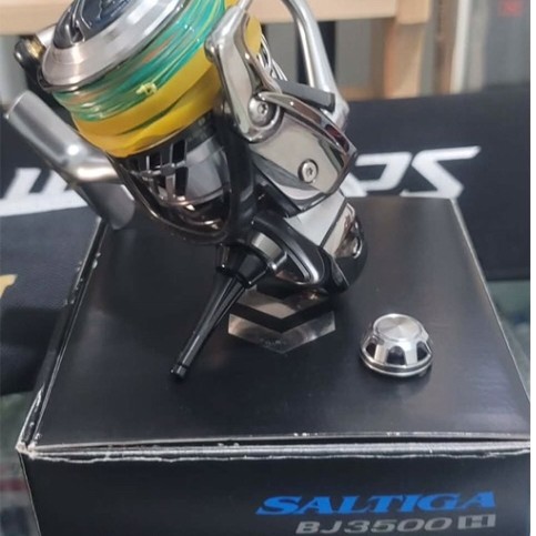 Daiwa Saltiga BJ3500H