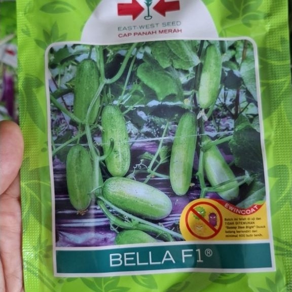 Benih Timun Baby  BELLA F1 isi 800 biji, Cap Panah Merah