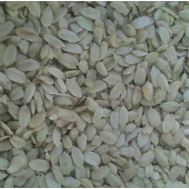 Kacang Kenari 1 kg
