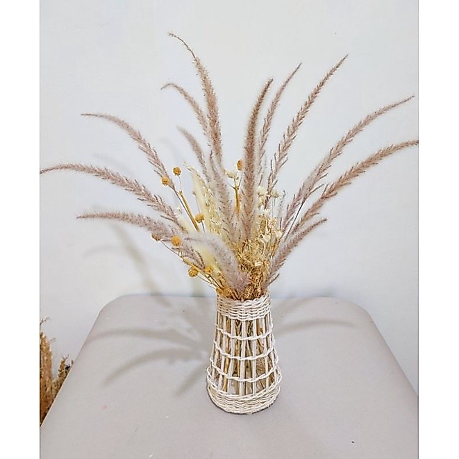 BUNGA PAMPAS NATURAL KECIL (ALANG")