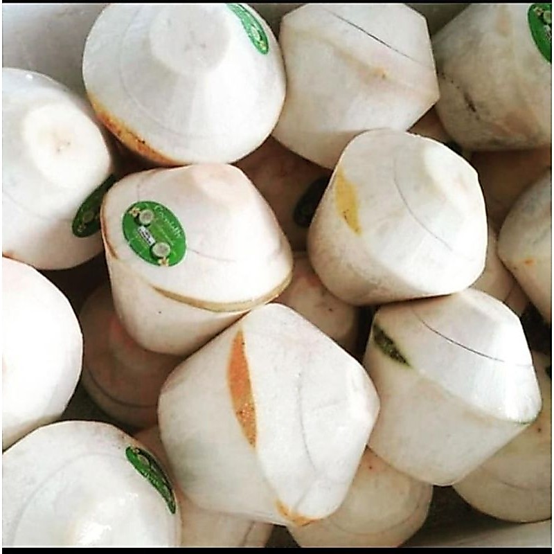 DEGAN JELLY