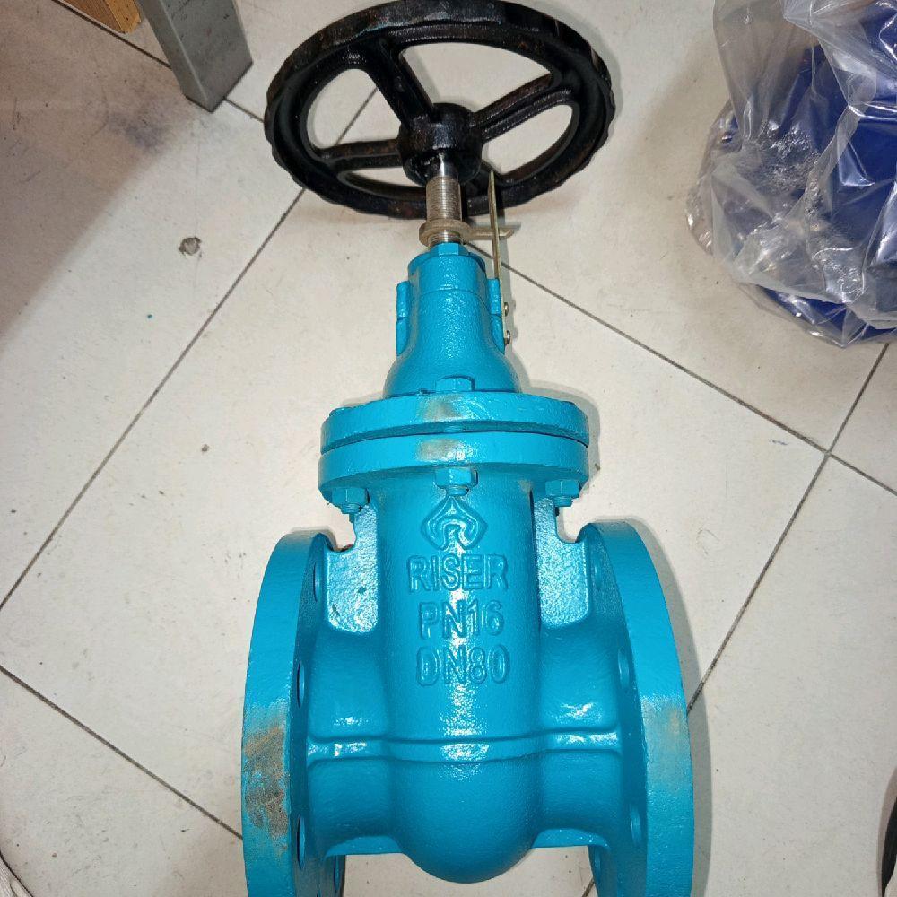 gate valve 3" (DN 80) PN-16 cast iron