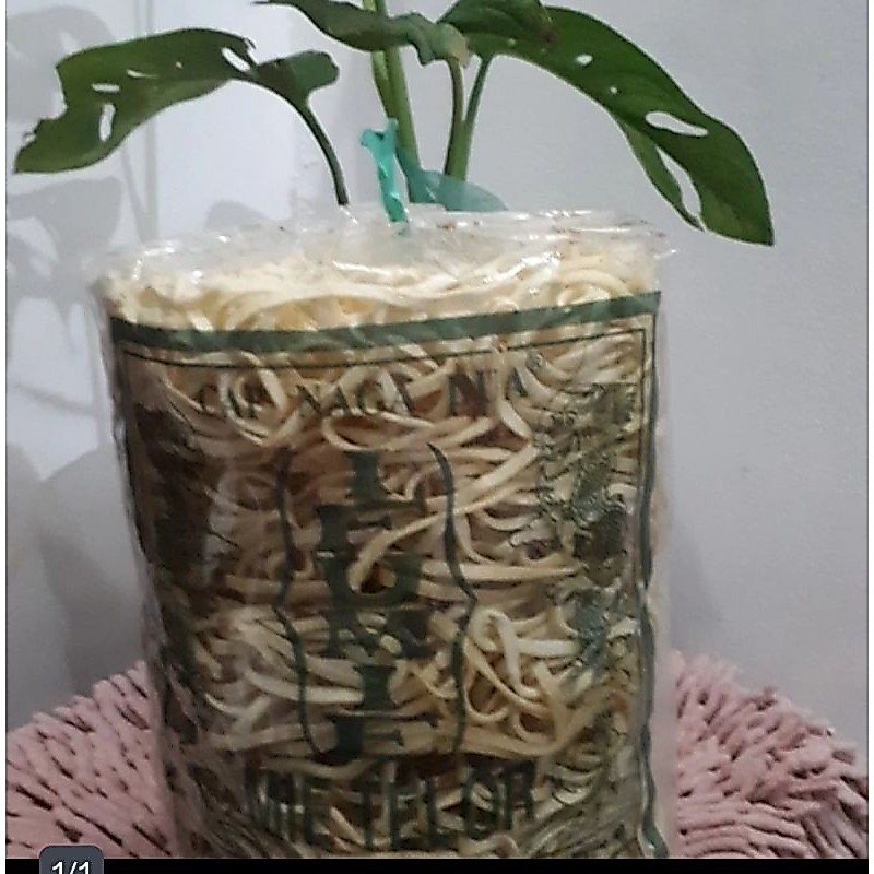 Ifu Mie Cap Dua Naga