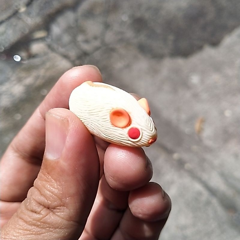 Molding Soft Frog Cetakan Soft Frog Tikus