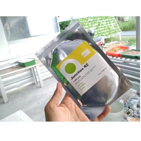 1000 butir benih selada RZ jonction / rz junction / benih bibit selada keriting hijau import belanda