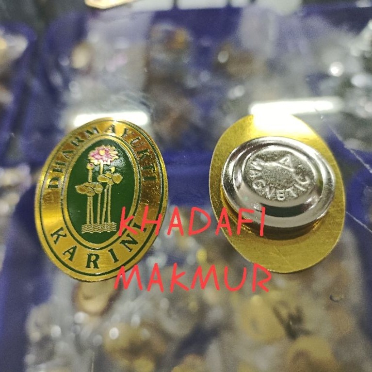 Pin Dharmayukti karini