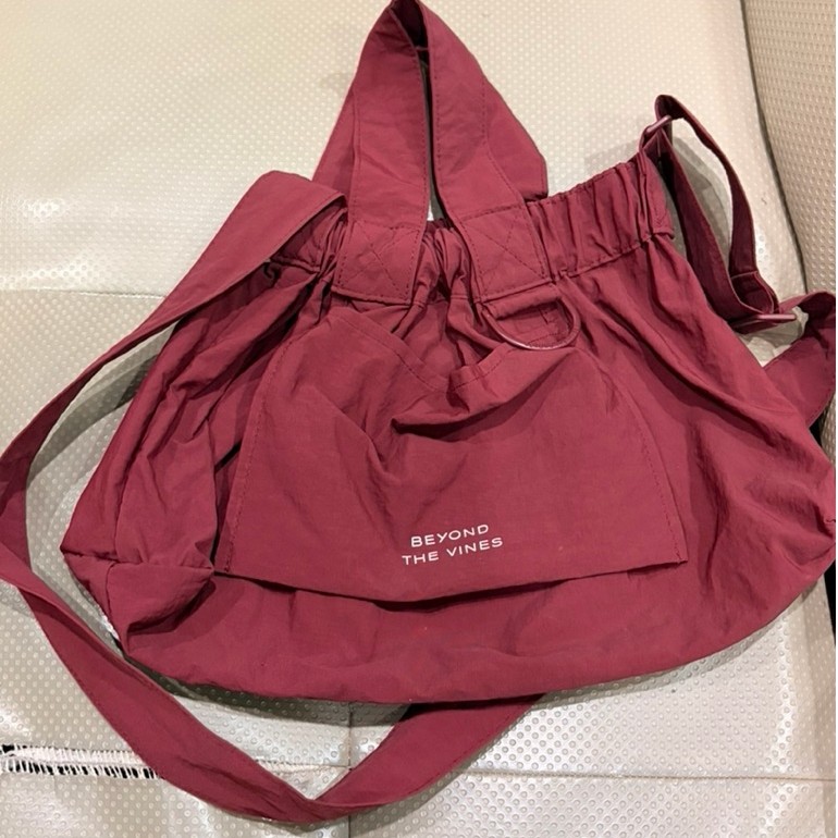 preloved btv dumpling bag - xs maroon