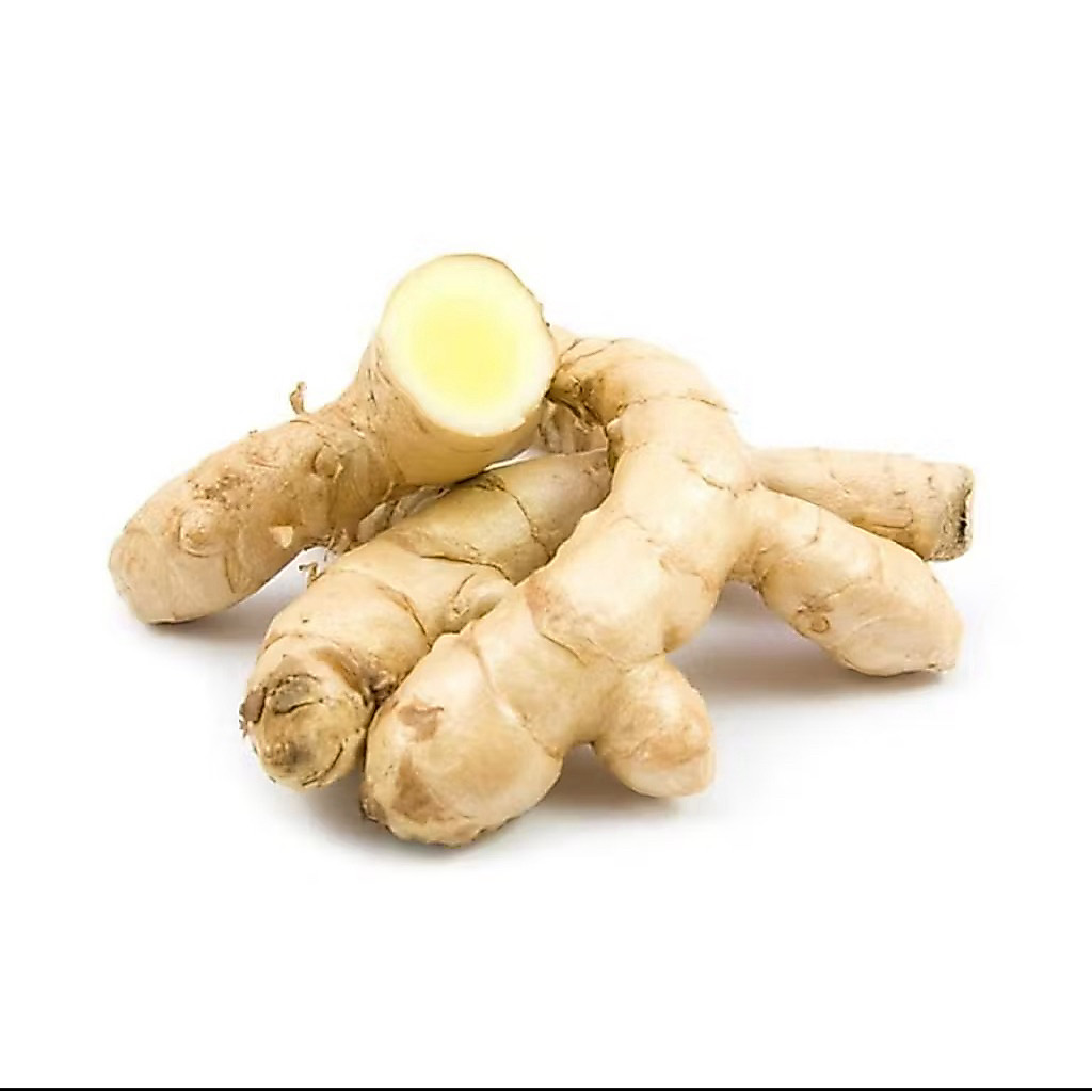 kunyit putih segar alami / obat herbal 1KG / temu putih pilihan dijamin asli