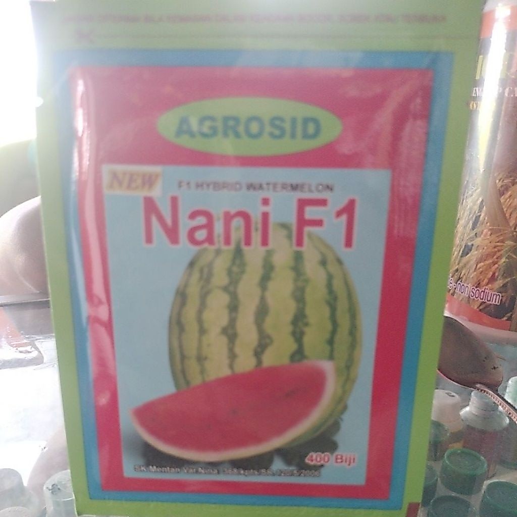 BENIH SEMANGKA New  NANI F1 SEMANGKA SUPER