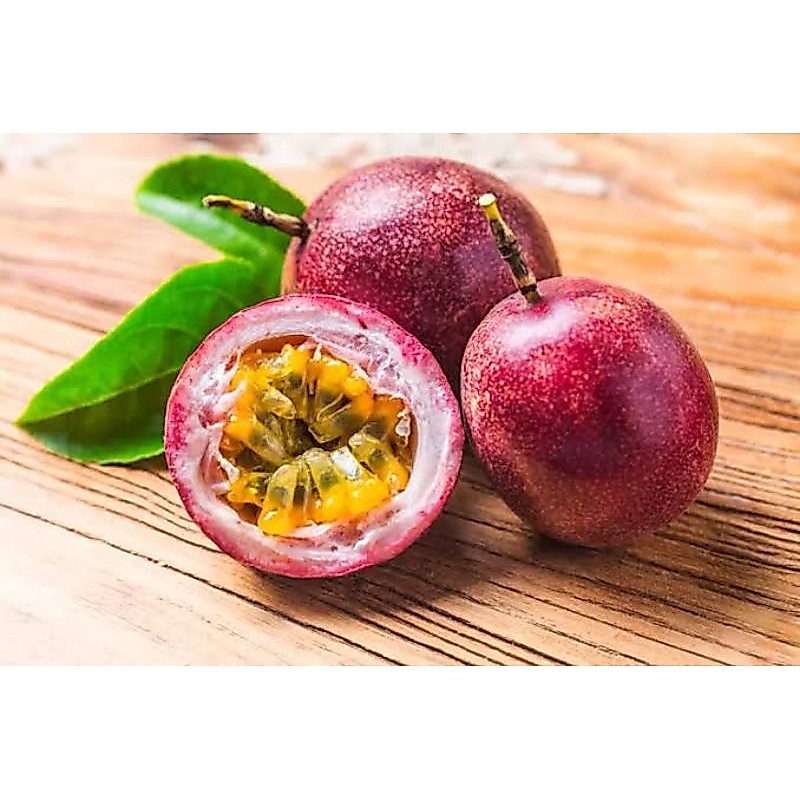 Markisa Berastagi Medan 500 gr (Buah Segar)