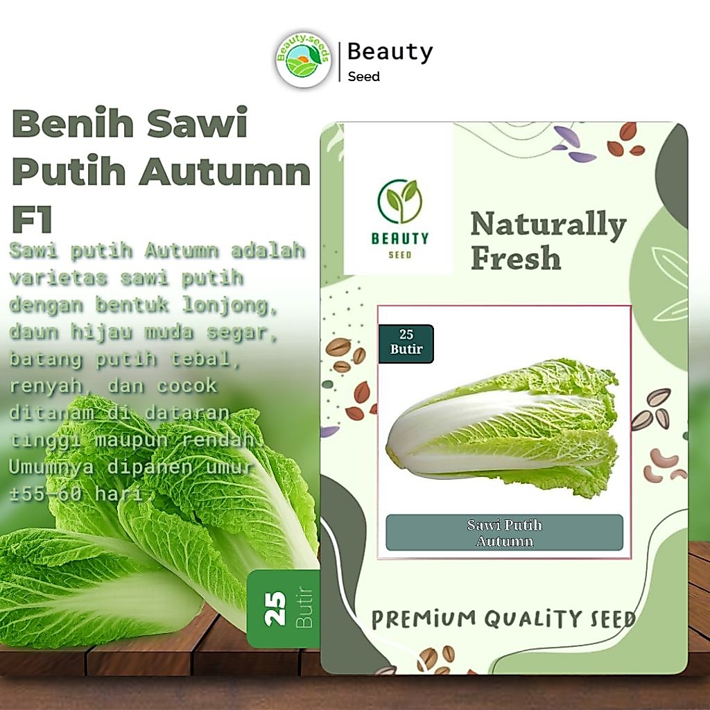 25 Benih Sawi Putih Autumn Sun F1 Dataran Rendah Sayur Slobor Unggul