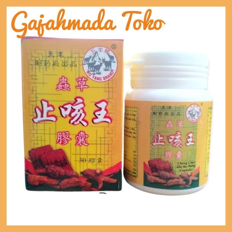 (BATARA) CHONG CHAO ZHI KE WANG Obat Batuk Berdahak - Obat Cina Herbal