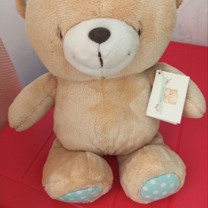 Boneka Teddy Forever Friend (FF)