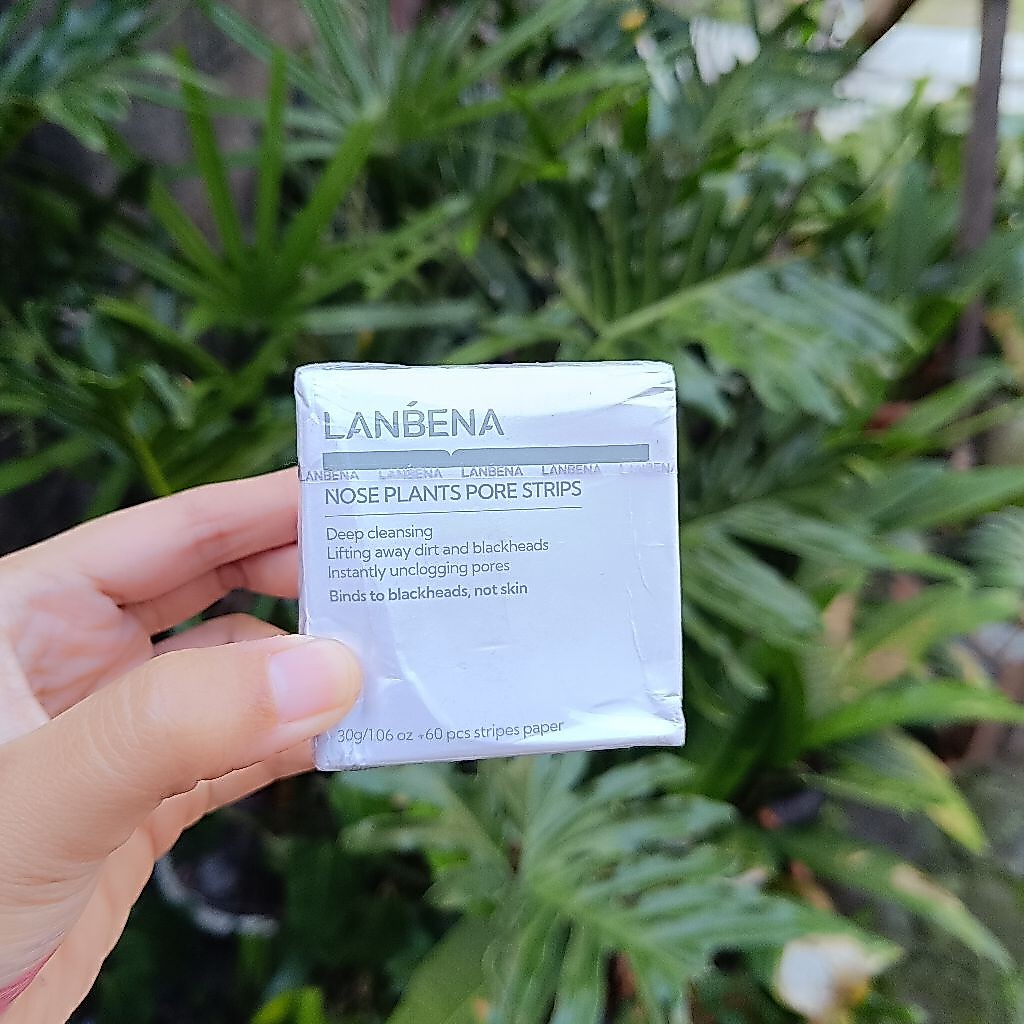 Lanbena pengangkat komedo hidung