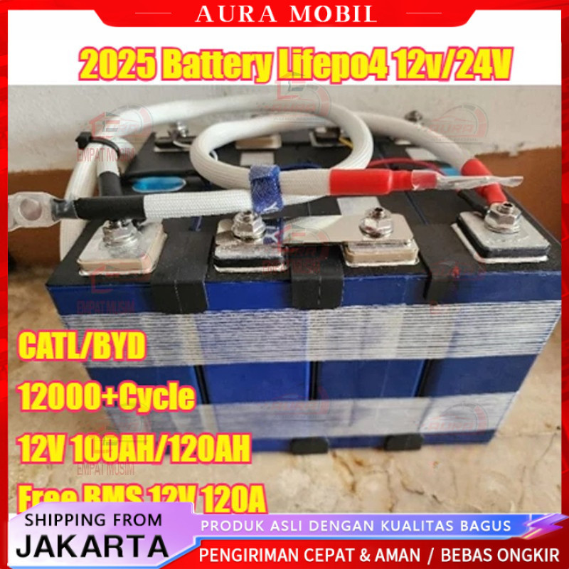 BECKY CATL/BYD Battery Lifepo4 Battery Lifepo4 12v/24V 100ah /120AH plus BMS