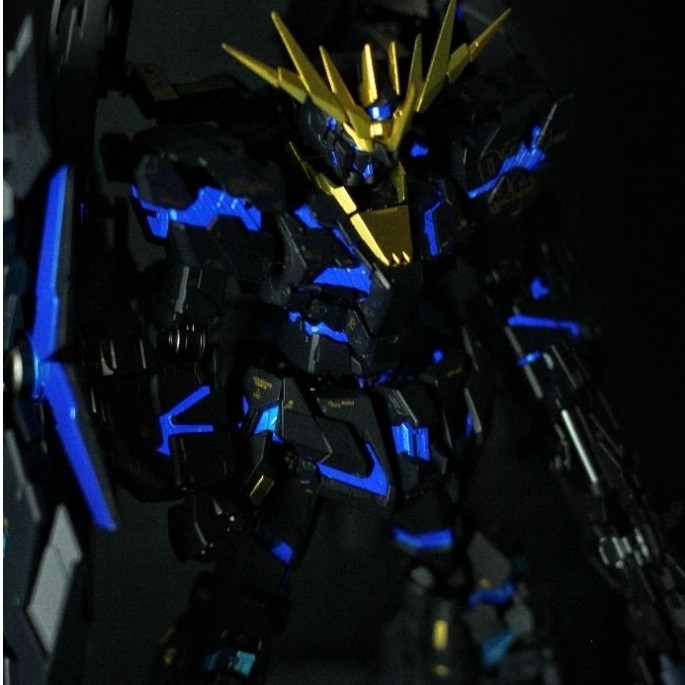 RG Banshee Norn Costum Painted