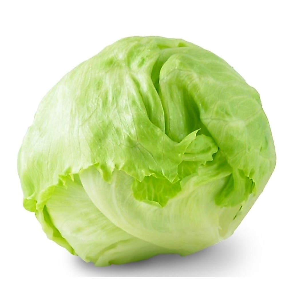 lettuce head/iceberg